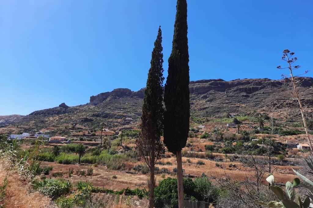 Cipreses. Cercados De Arana Dom wakacyjny San Bartolomé